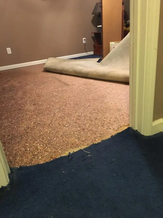 Carpet pad removal revealing water damage during Water Mitigation Services in Swampscott