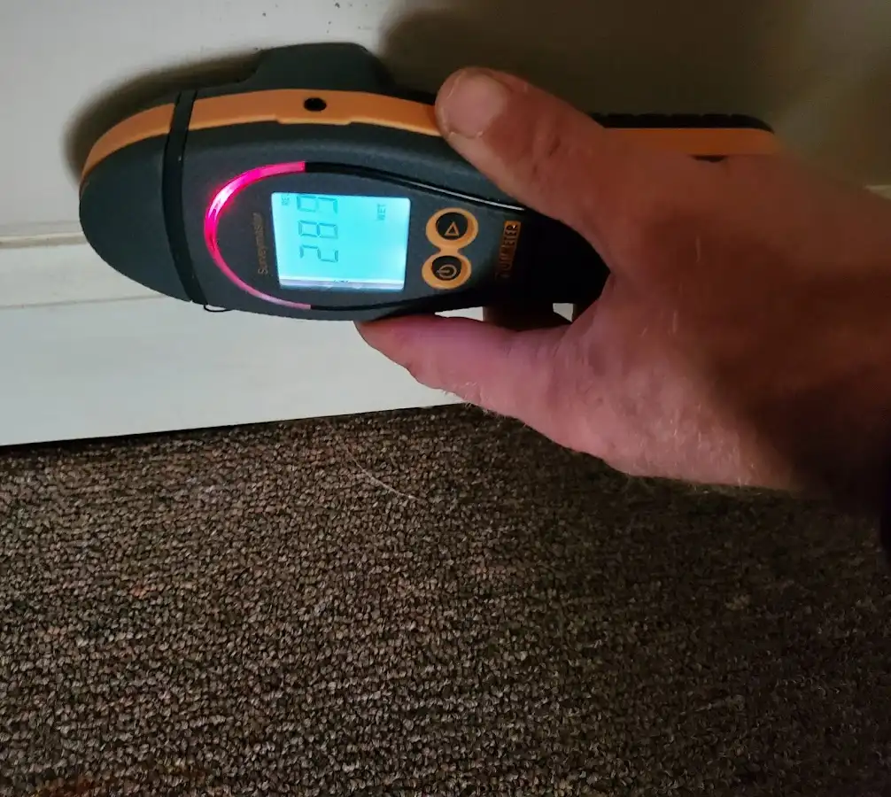 Moisture detection at baseboard during Sewage Cleanup & Sanitation in Swampscott